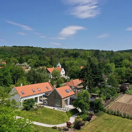 Kali Kuetyue Villa Balatonhenye Exterior photo